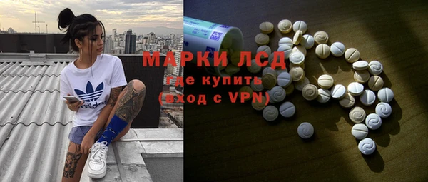 мет Алексин