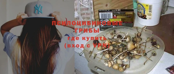 ALPHA PVP Алзамай