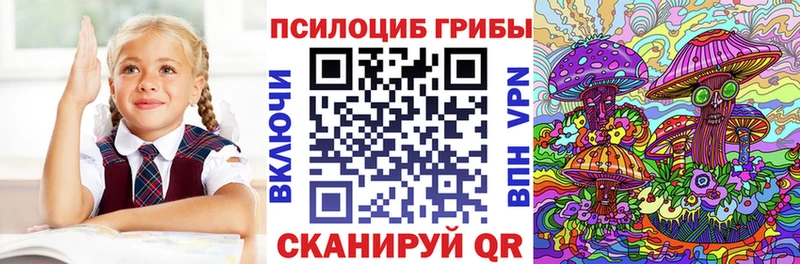 darknet состав  купить закладку  Кизел  Галлюциногенные грибы MAGIC MUSHROOMS 
